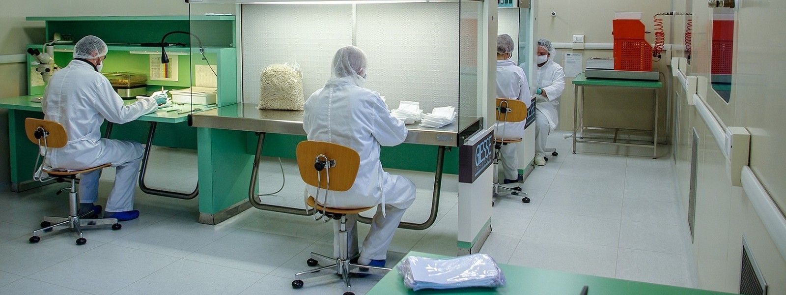 Impianti Dentali Compatibili